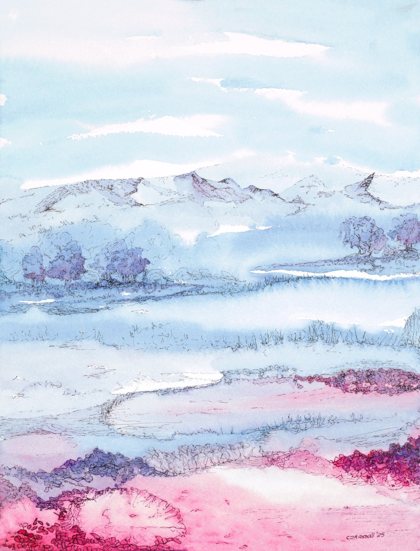 Blueberry Sunrise - original watercolor and ink painting of a view across a blueberry field by CJ Hassall