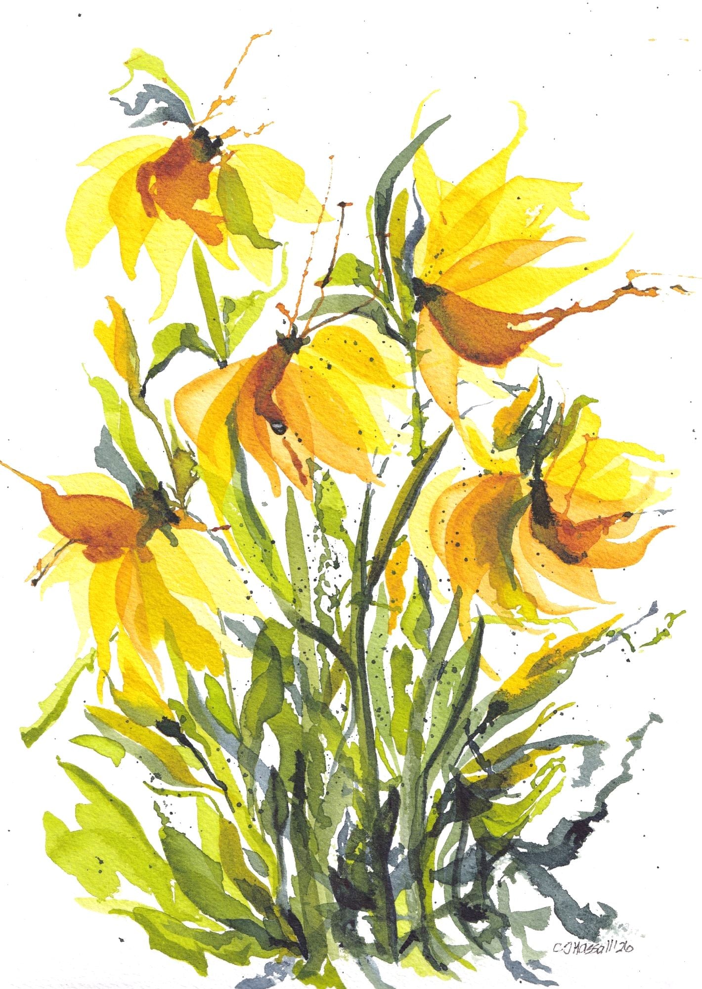 Making a Splash - loose watercolor painting of vibrant yellow flowers by CJ Hassall