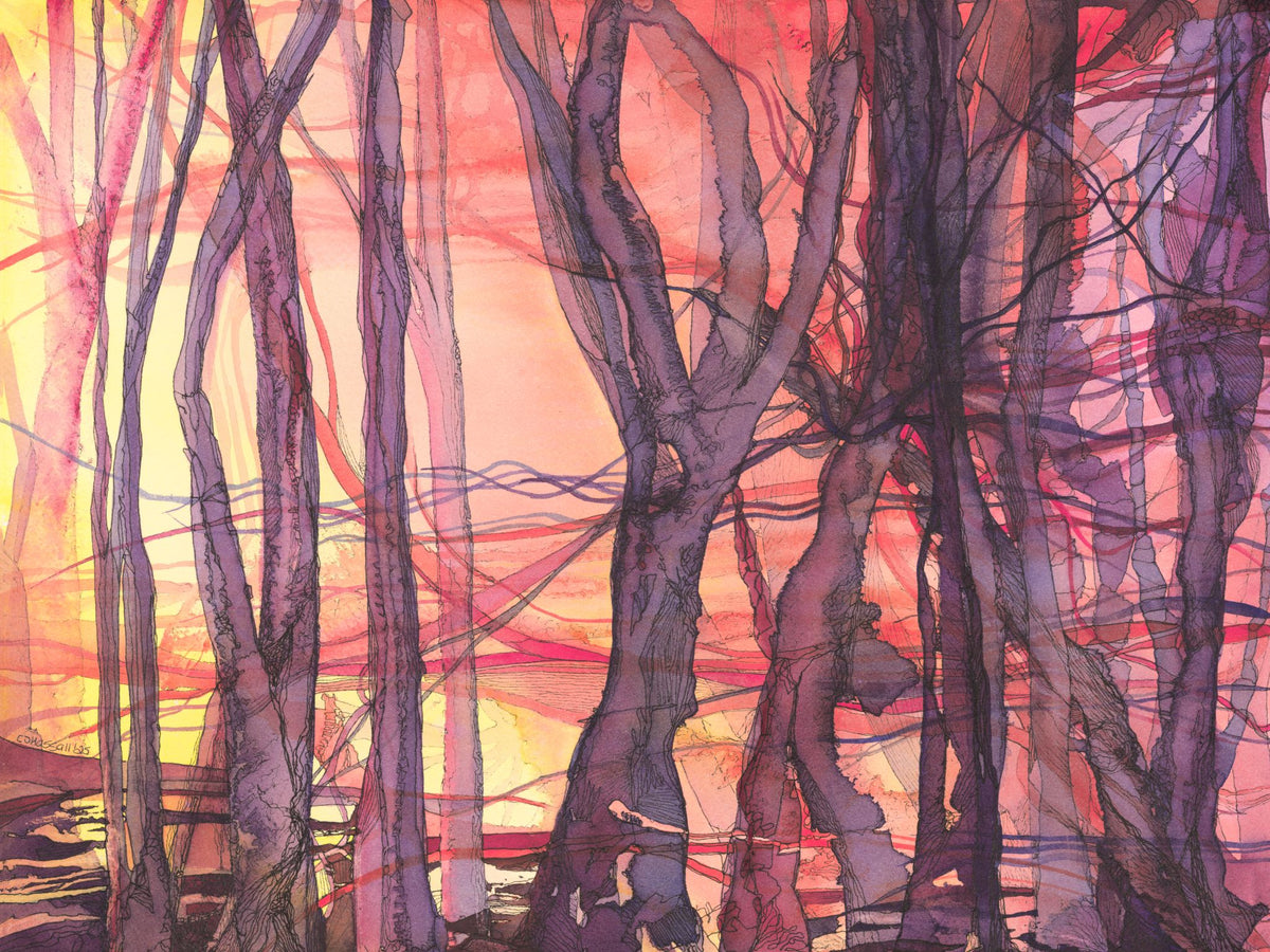Not Contained — watercolor and ink painting inspired by the Bear Gulch wildfire aftermath on Washington's Olympic Peninsula by CJ Hassall