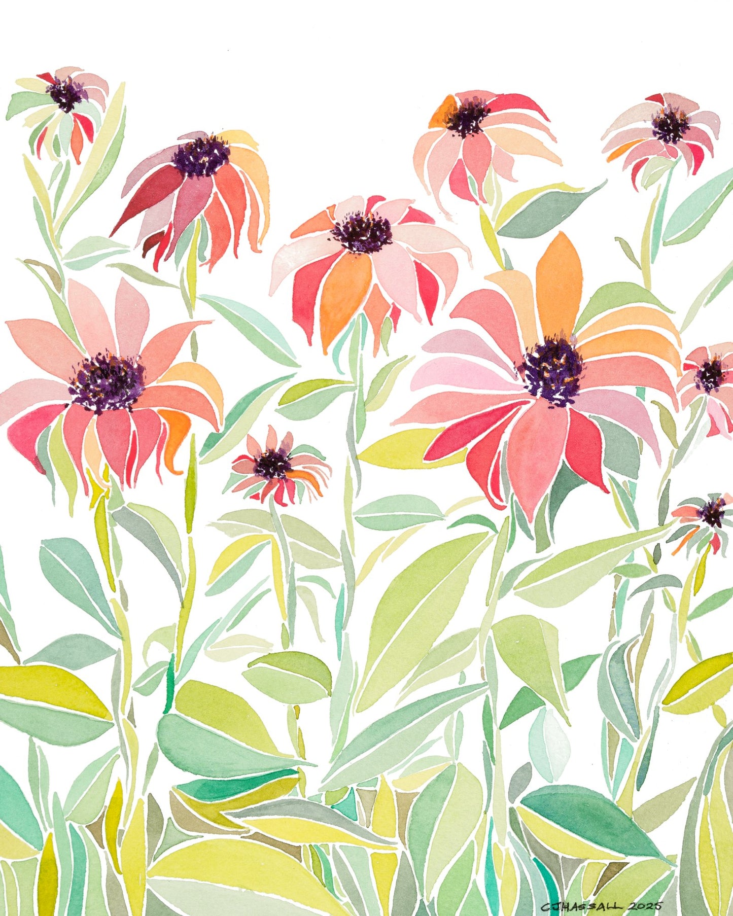 Pink Coneflowers - original artwork by CJ Hassall depicting stylized colorful coneflowers