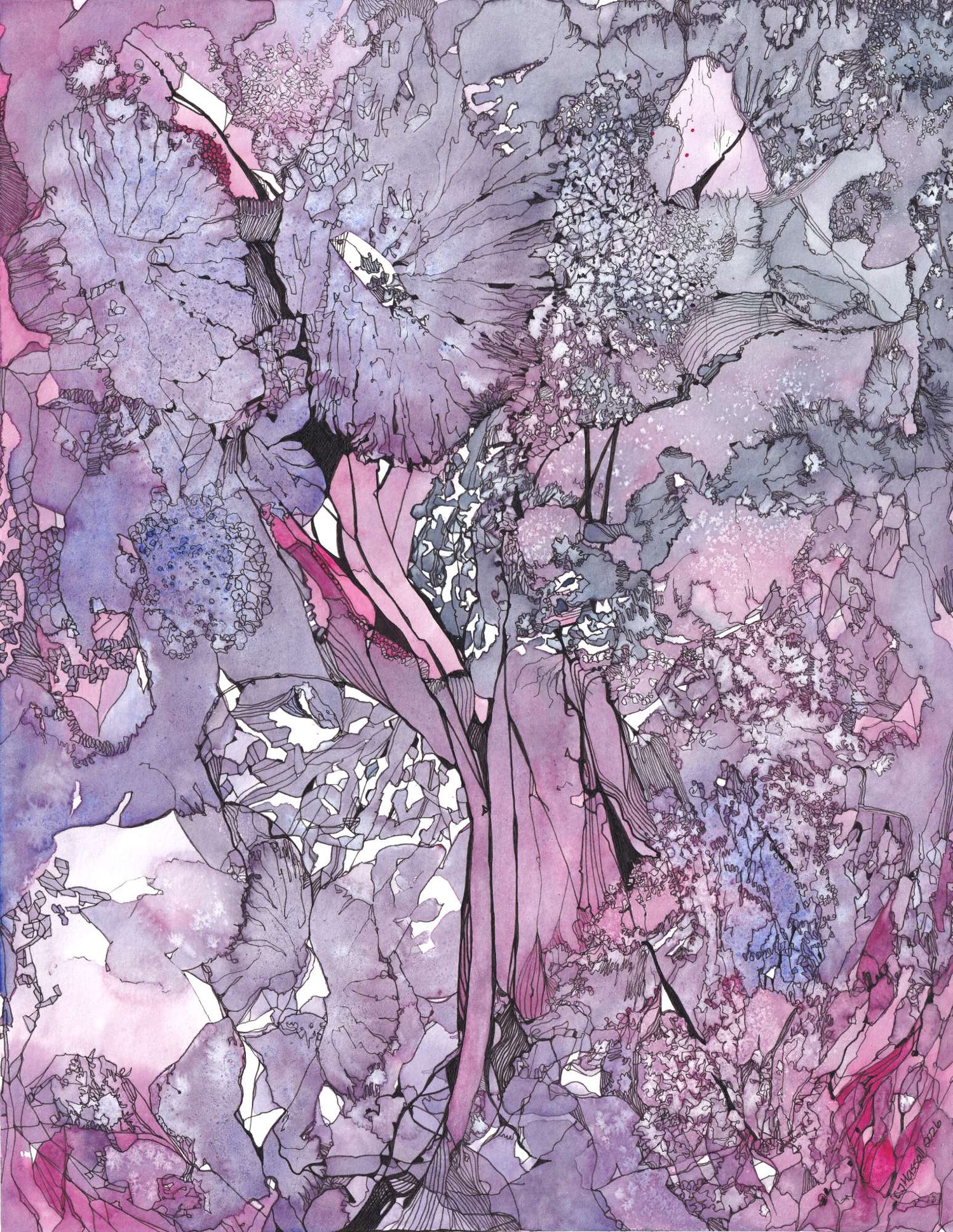 Interpretations of Nature