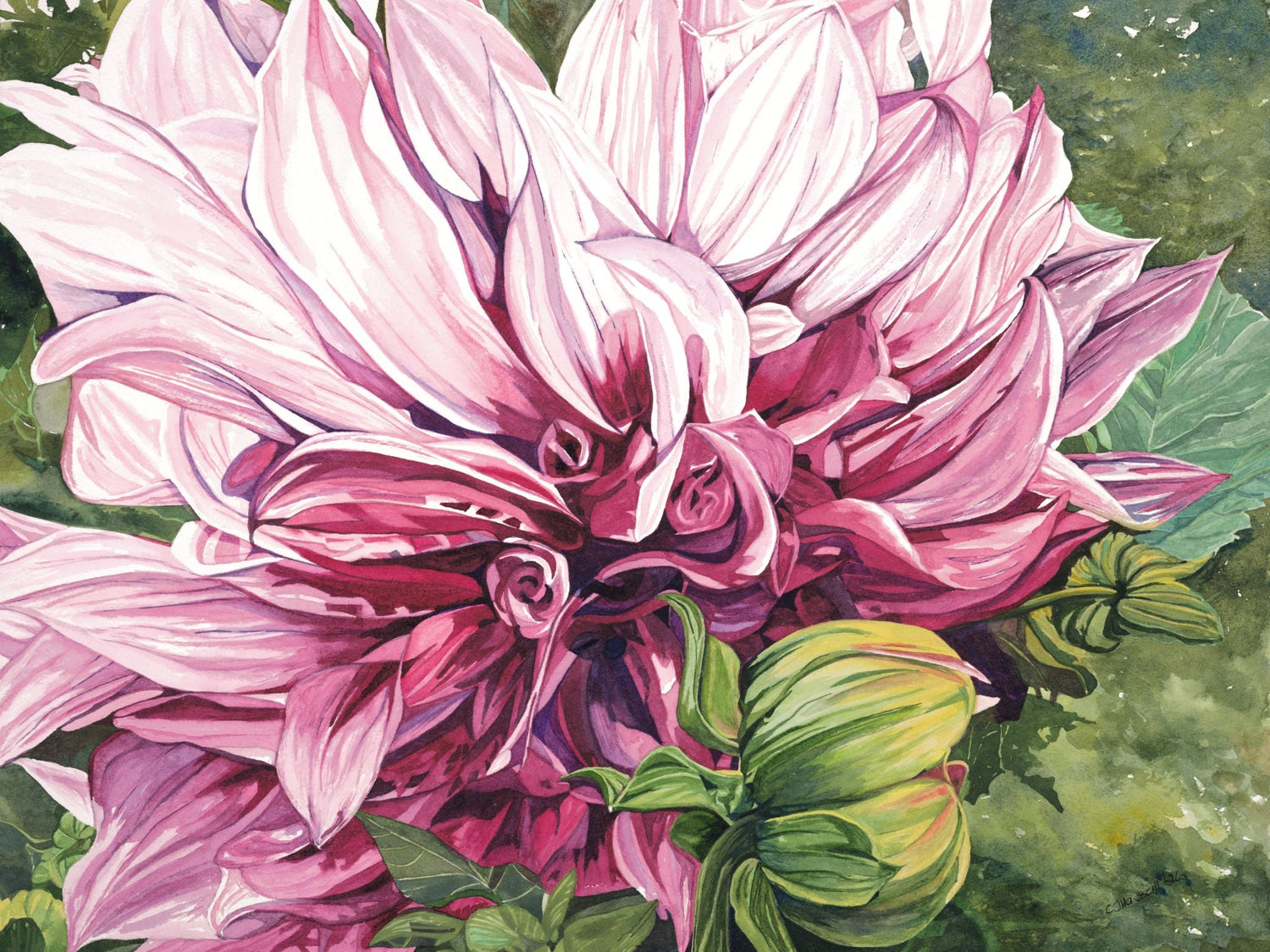 Botanicals