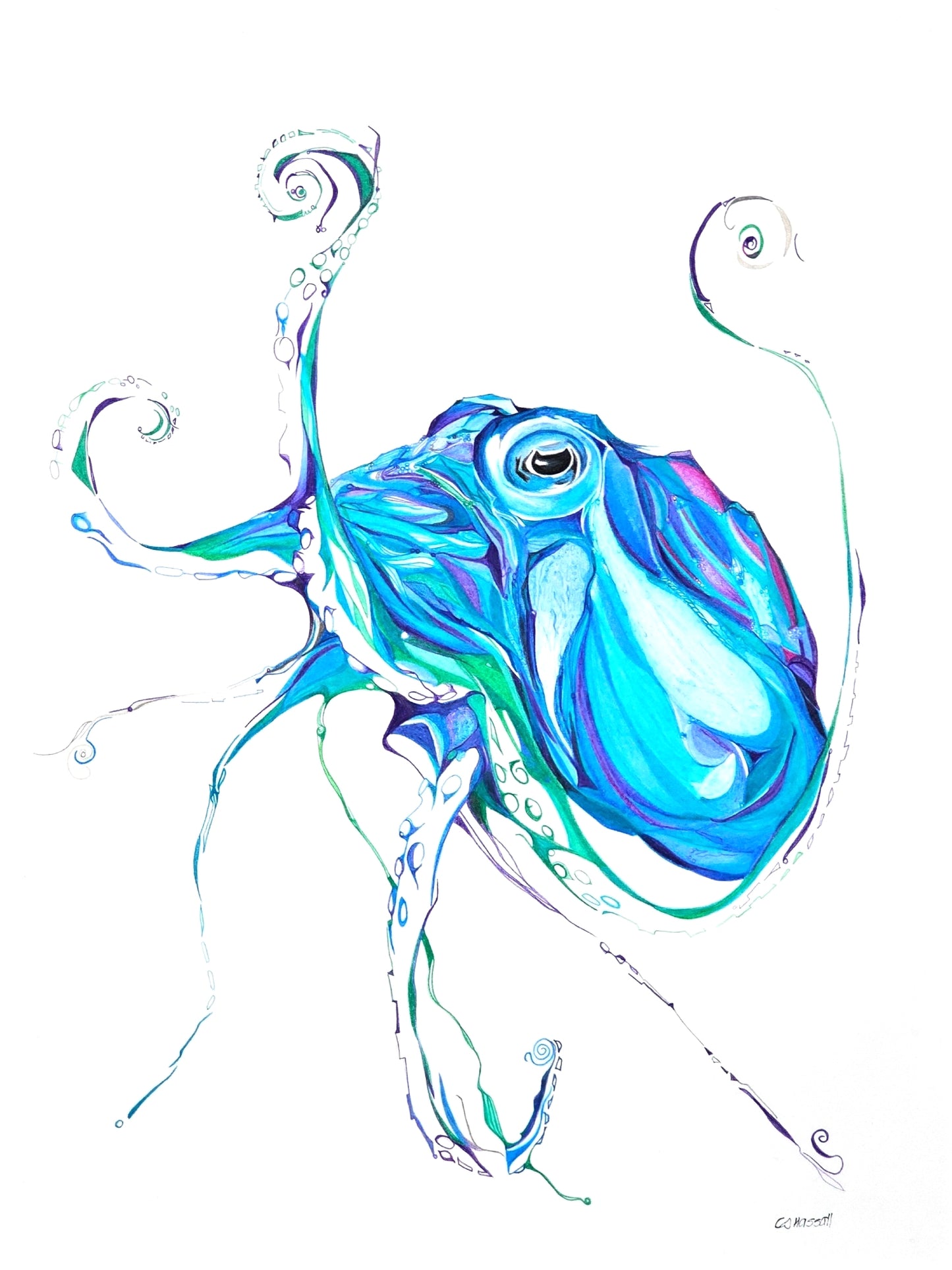 Original pencil drawing of a vibrant blue and aqua octopus by CJ Hassall
