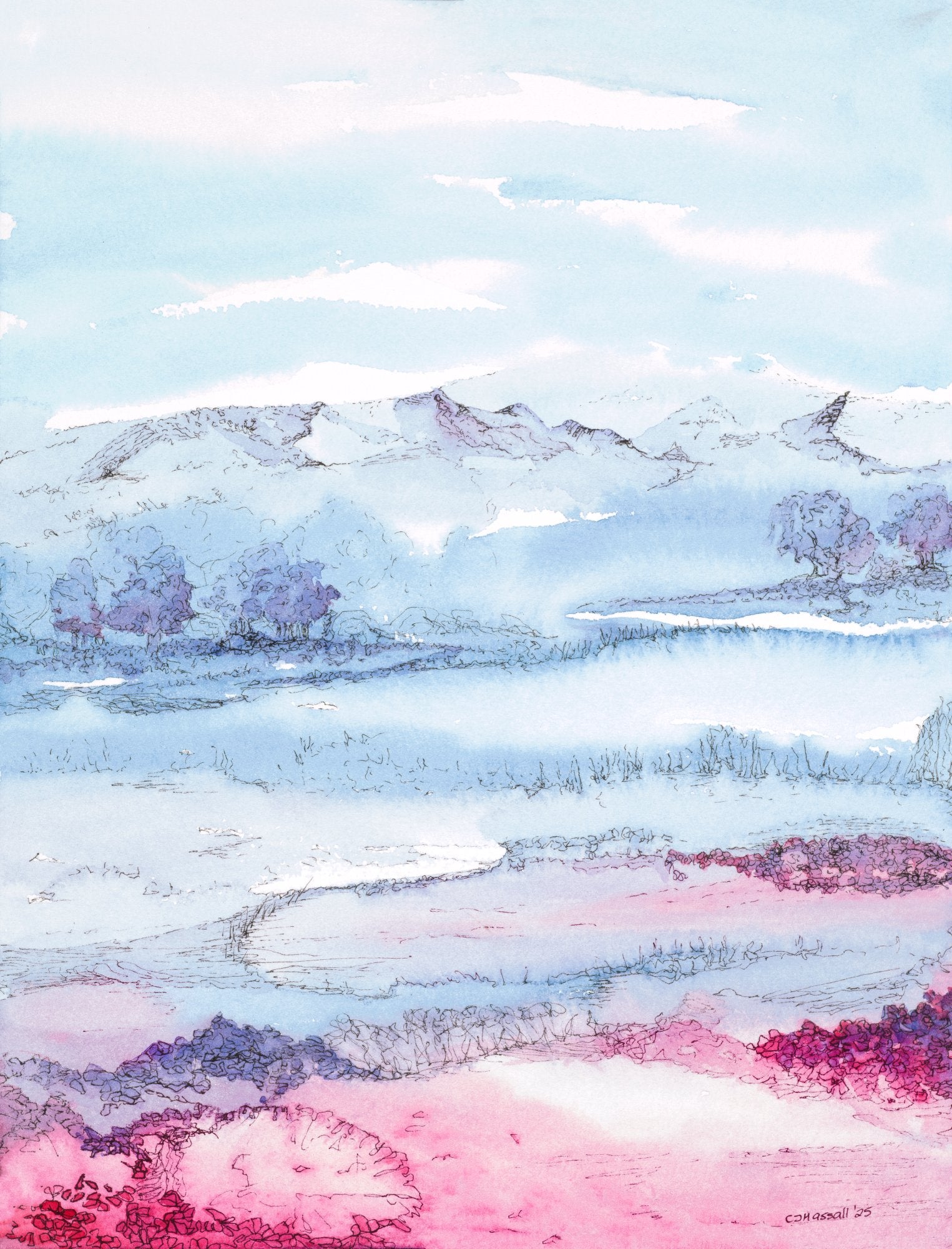 Blueberry Sunrise - original watercolor and ink painting of a view across a blueberry field by CJ Hassall