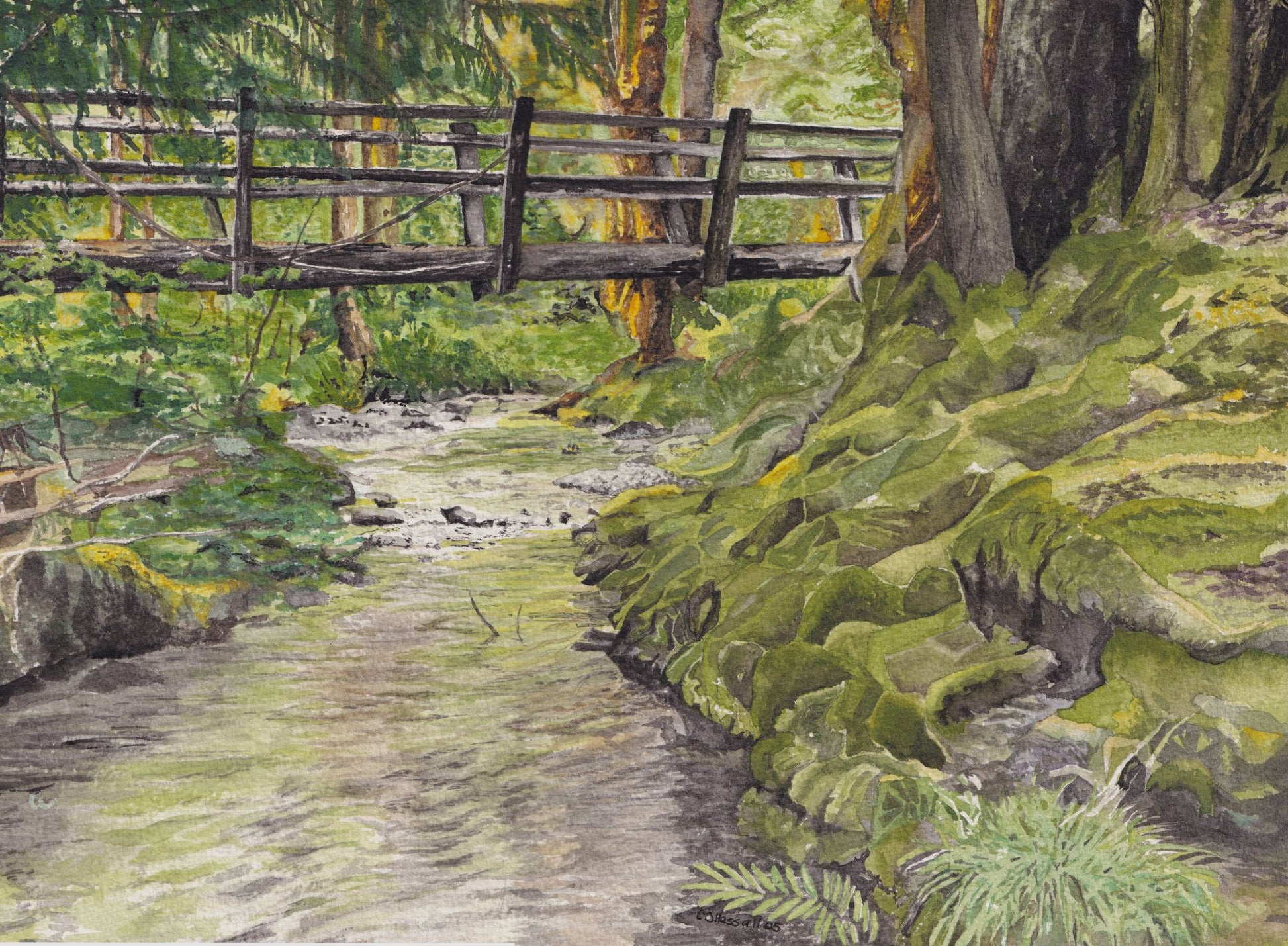 Bridge Over Elk Creek — watercolor painting the lush verdant Olympic Rain Forest foliage by CJ Hassall