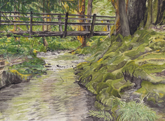 Bridge Over Elk Creek — watercolor painting the lush verdant Olympic Rain Forest foliage by CJ Hassall