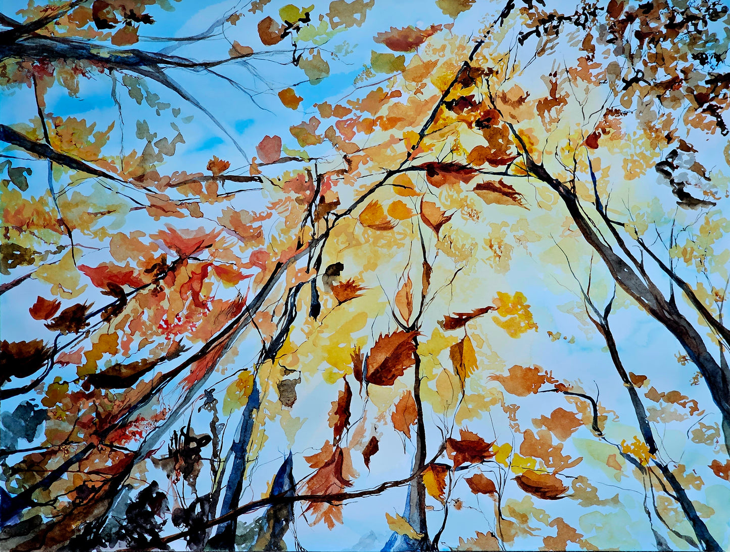 Crowning Glory - a vibrant watercolor painting of an autumnal view through a forest canopy by CJ Hassall