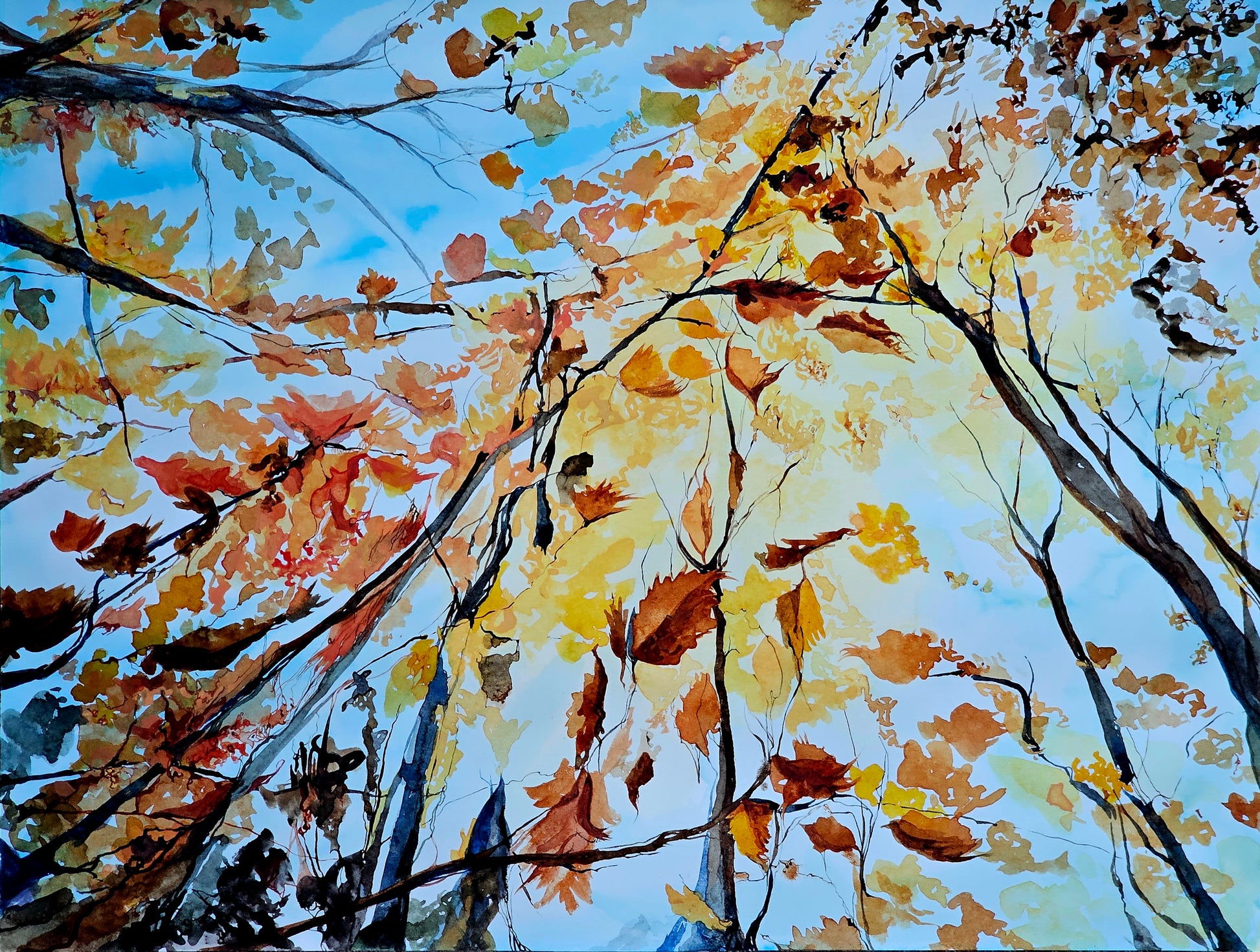 Crowning Glory - a vibrant watercolor painting of an autumnal view through a forest canopy by CJ Hassall