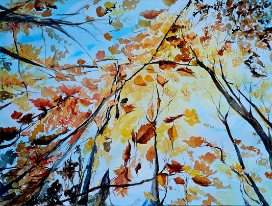 Crowning Glory - a vibrant watercolor painting of an autumnal view through a forest canopy by CJ Hassall