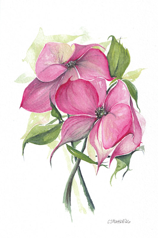 Dogwood - original watercolor painting depicting a small bouquet of dogwood by CJ Hassall