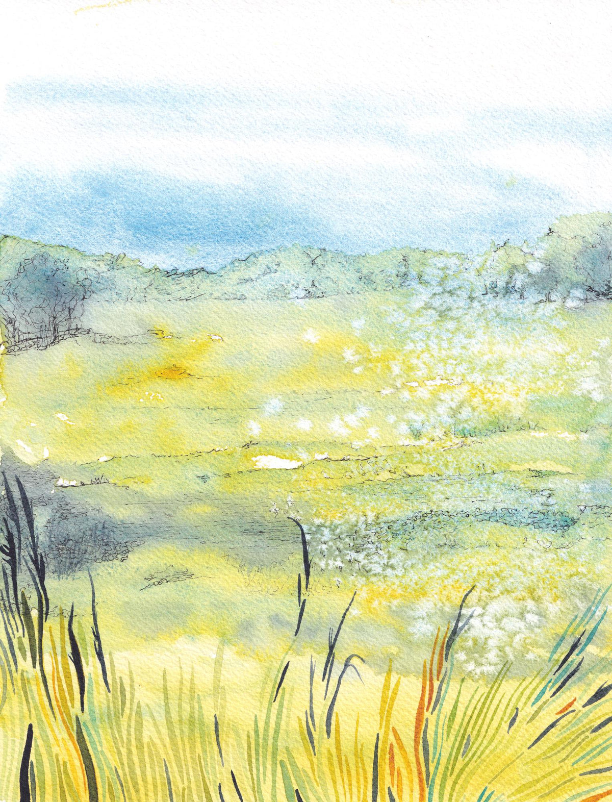 Golden Bullrushes - original watercolor painting of a cool yellow and blue hillside with bullrushes in the foreground by CJ Hassall