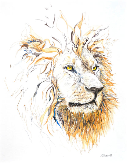 Golden- original pencil drawing of a lion's head by CJ Hassall