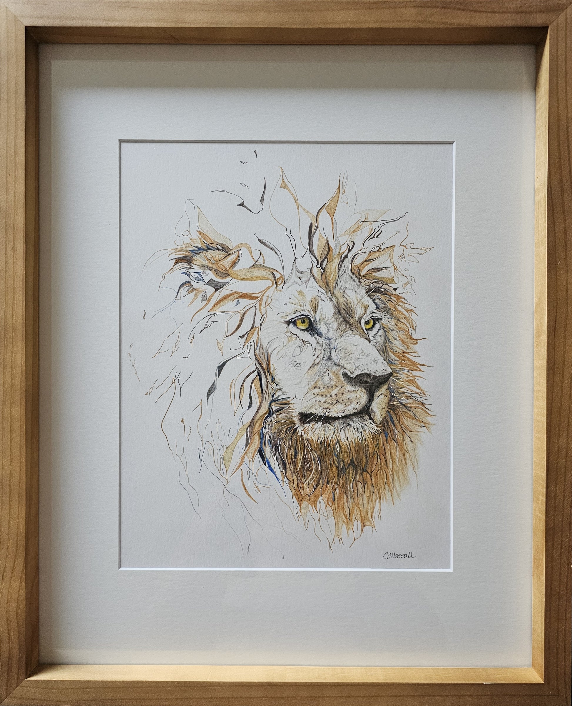 Golden- original framed pencil drawing of a lion's head by CJ Hassall