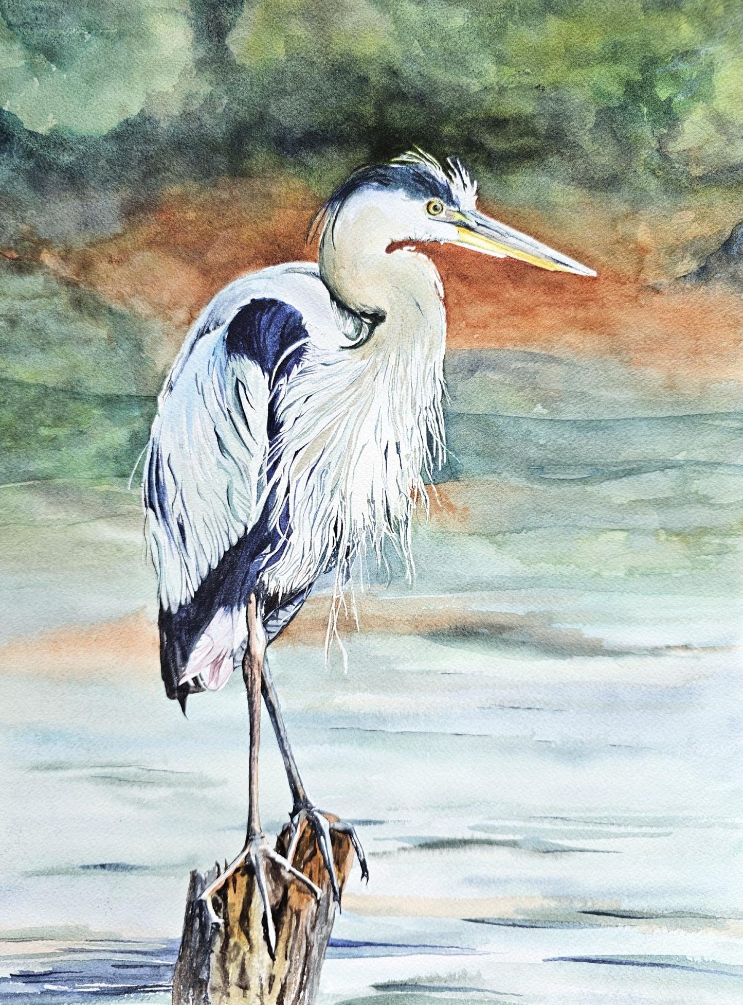 Great Blue - an original watercolor painting of a great blue heron by CJ Hassall