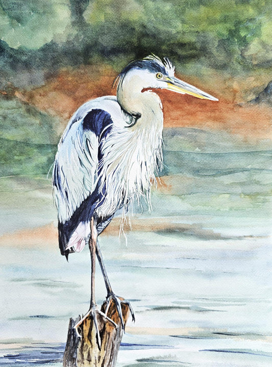 Great Blue - an original watercolor painting of a great blue heron by CJ Hassall