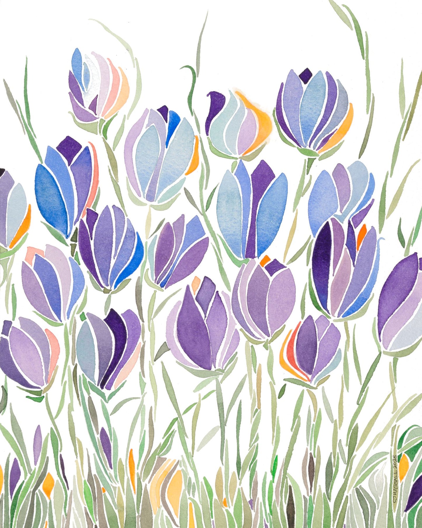 Hocus Crocus - original artwork by CJ Hassall depicting stylized colorful crocus plants
