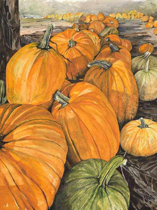 I Guess It's October — watercolor painting of a sun-drenched pumpkin patch on Washington's Olympic Peninsula by CJ Hassall