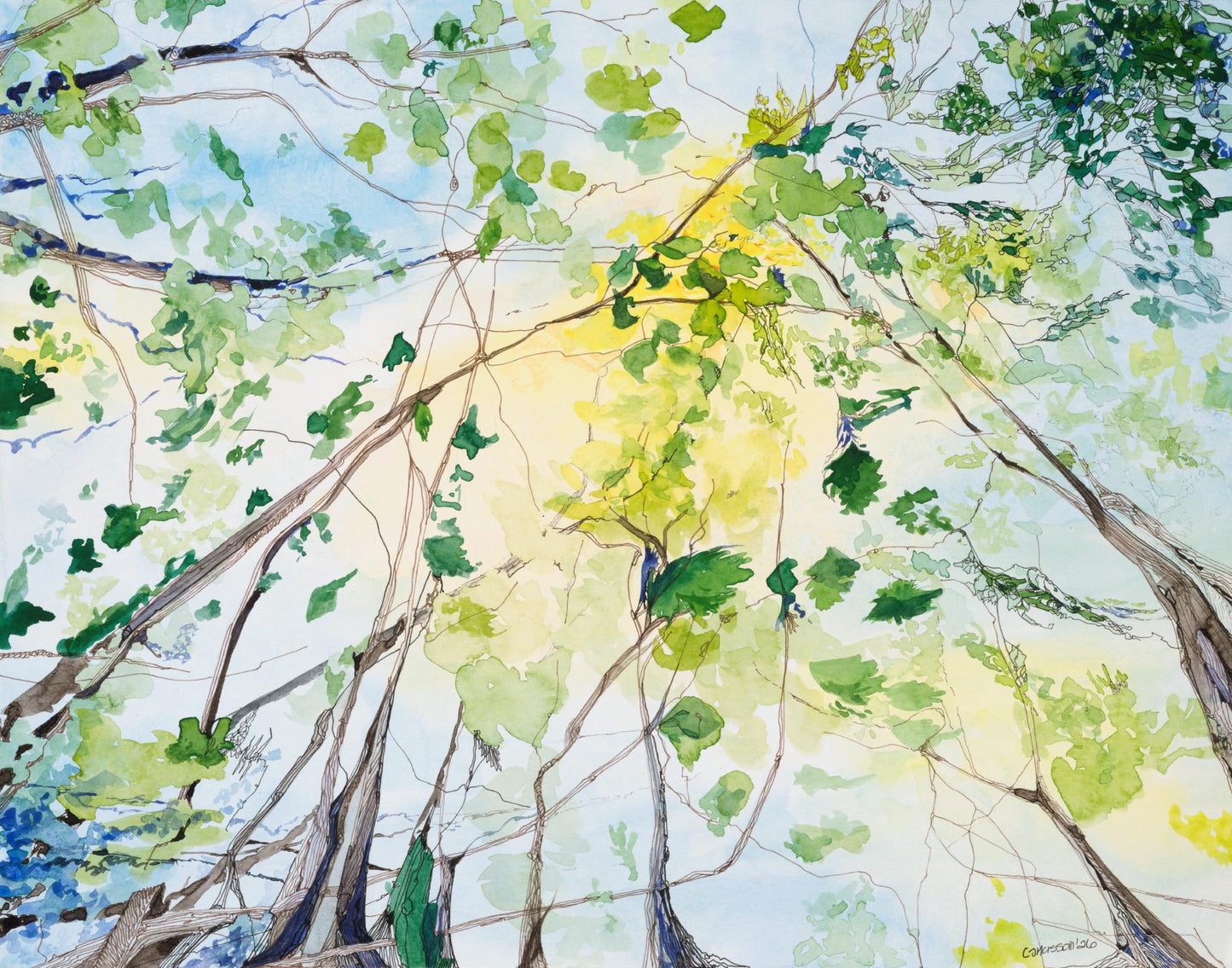 Imagining - original watercolor and ink painting showing a sun kissed sky peeking through the forest canopy, by CJ Hassall