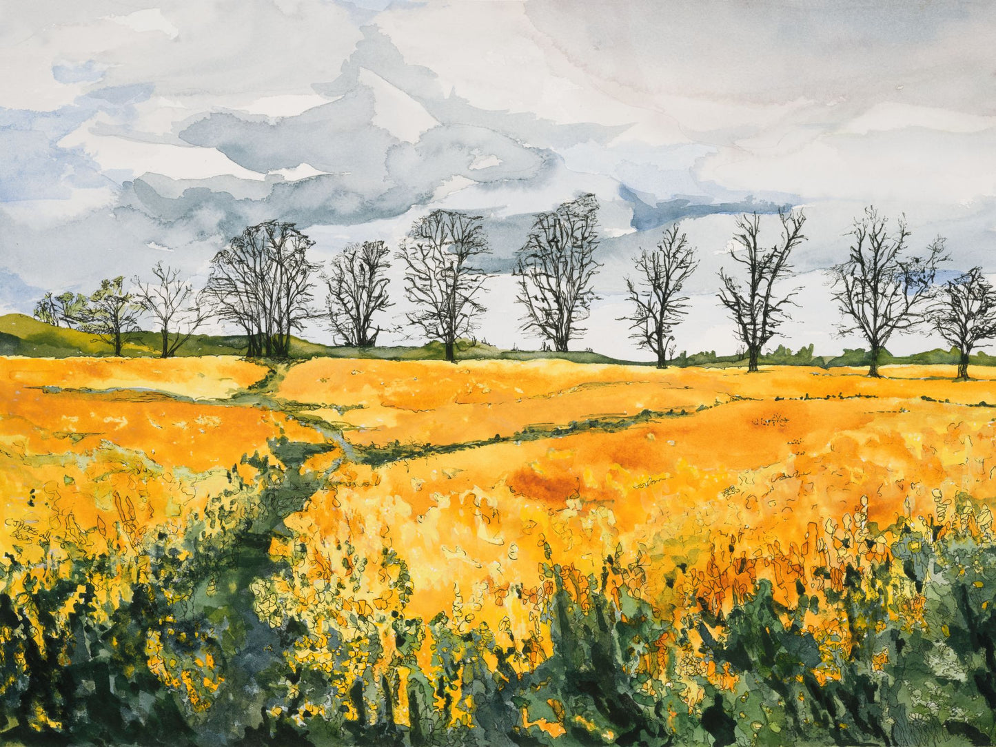 Irrepressible Gold — watercolor and ink painting of a glowing golden field beneath stormy skies by CJ Hassall