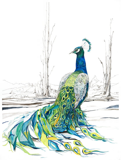 Majestic — watercolor and ink painting of a majestic, stately peacock surveying his kingdom, with fantasy tail feathers by CJ Hassall