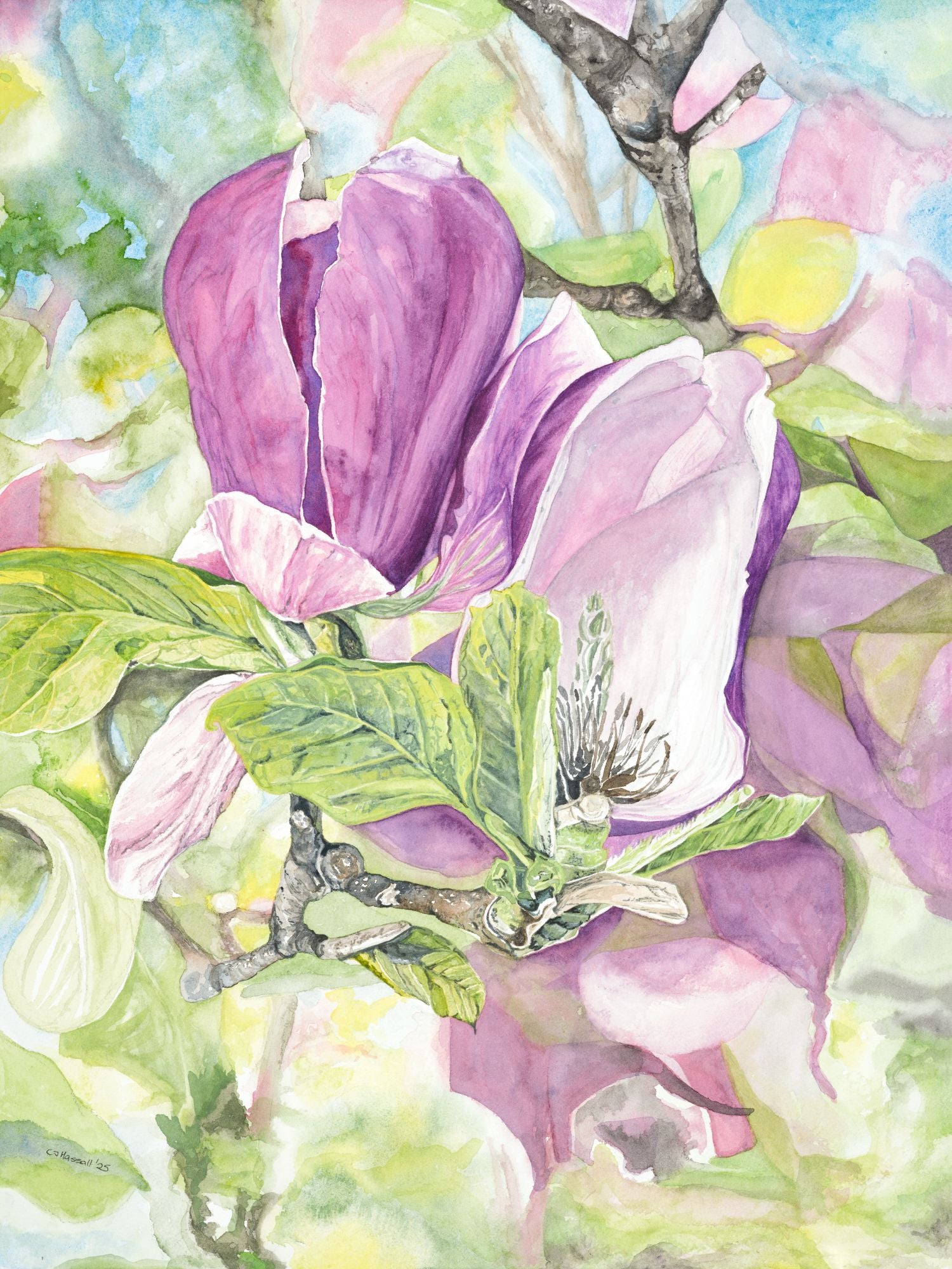 Morning Magnolias - original watercolor of a view through a magnolia tree by CJ Hassall