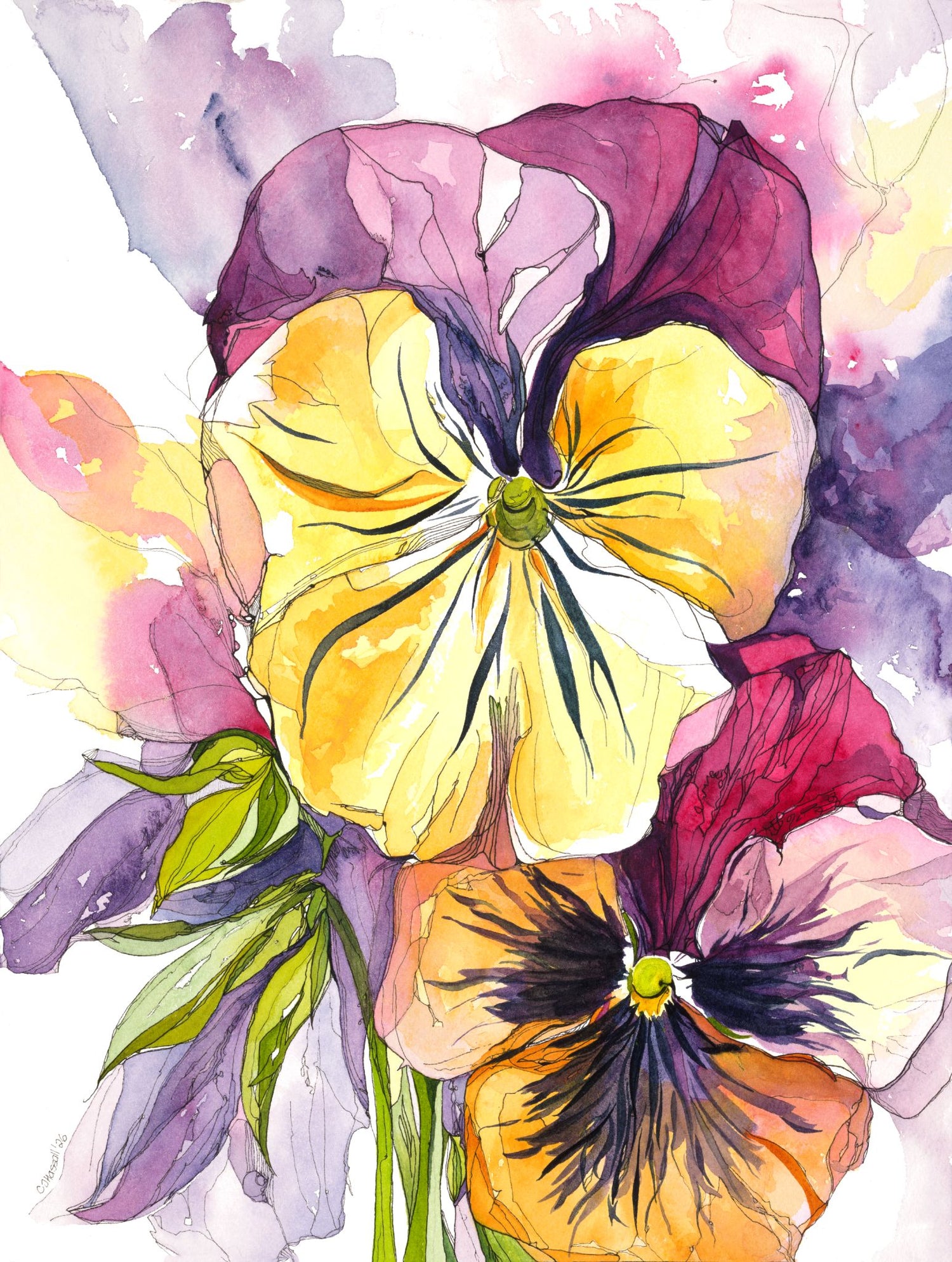 Not Like the Others — watercolor and ink painting of vibrant pansies in raspberry pinks and pineapple yellows by CJ Hassall