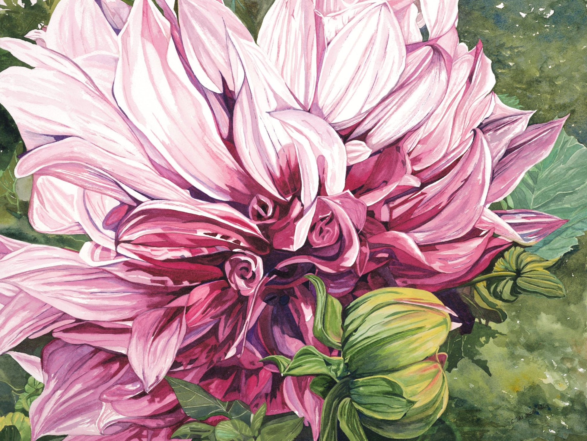 Orchestrating the Midday Sun — watercolor painting of a dinner plate dahlia in midday light by CJ Hassall