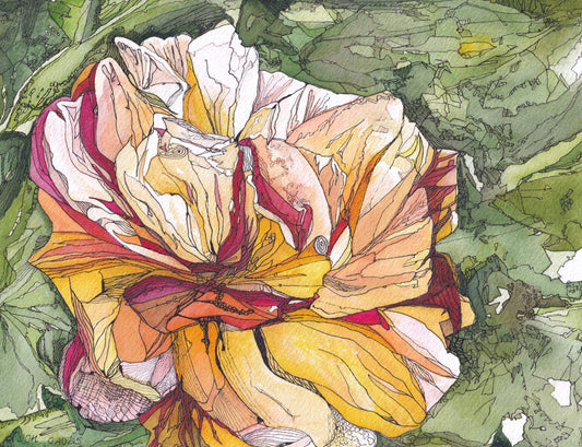 A Rose for Joan - an original watercolor and ink painting of a yellow and red rose by CJ Hassall