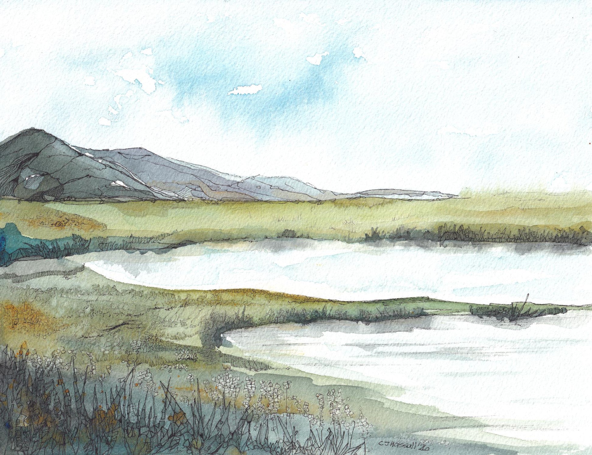 Rust Salt Marshes - an original watercolor and ink painting of a serene coastline in early fall by CJ Hassall