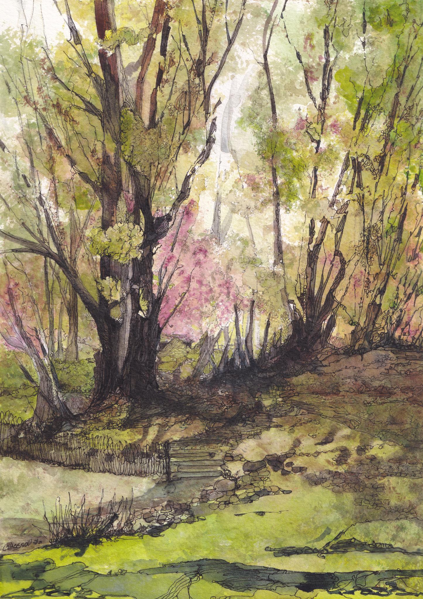 Original watercolor and ink painting of a back lit forest with pink blossoms and whimsical pathway by CJ Hassall