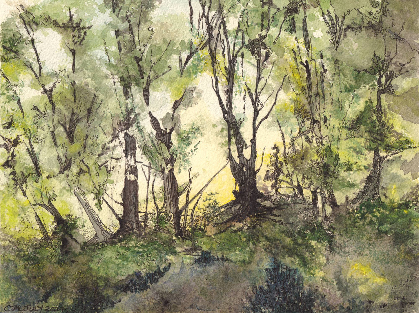 Original watercolor and ink painting of a backlit forest scene at dawn by CJ Hassall